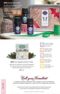 Scentsy 2015 Holiday Christmas Flyer 8