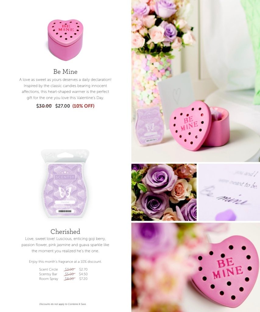 scentsyjanuary2016warmerandscentofthemonth - 2