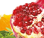 SHOP SCENTSY CLASSICS FRAGRANCES