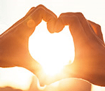 SHOP SCENTSY ROMANCE FRAGRANCES