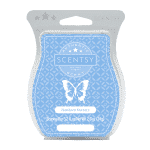 NEWBORN NURSERY SCENTSY BAR