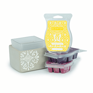 Scentsy System Deluxe - Combine & Save