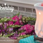 SCENTSY ALABASTER WARMER 2016
