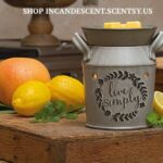LIVE SIMPLY SCENTSY WARMER 2016
