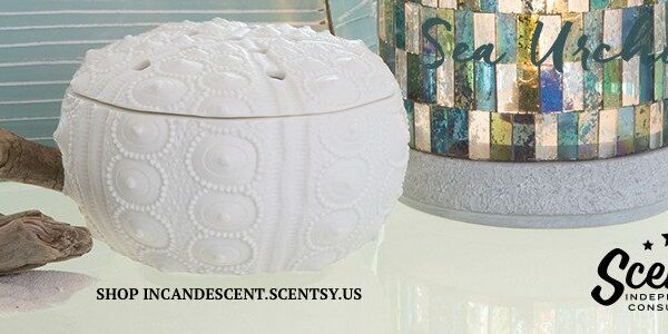 SCENTSY SEA URCHIN ELEMENT WARMER