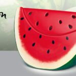 SCENTSY WATERMELON WARMER 2016