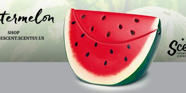 SCENTSY WATERMELON WARMER 2016