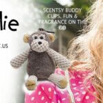 NEW SCENTSY SPRING 2016 SCENTSY BUDDY CLIPS