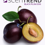 SCENTSY SCENTREND 2016 BLACK PLUM
