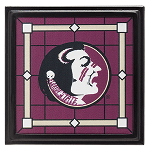 FLORIDA STATE SCENTSY GALLERY FRAME