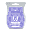 French Lavender Scentsy Bar
