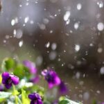 SCENTSY APRIL 2016 BEST SELLING PRODUCTS