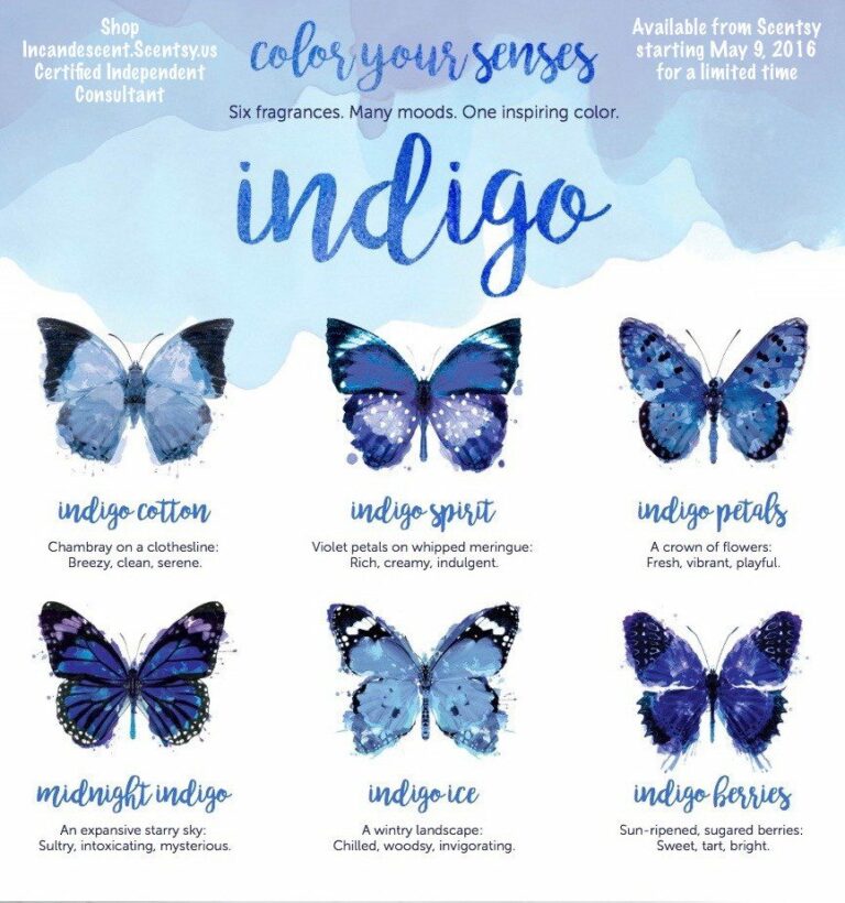 Scentsy Indigo Limited Edition Collection May 2016