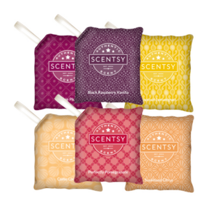 Scentsy Scent Paks | Scentsy Club Subscription