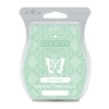 Bonfire Beach Scentsy Bar