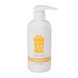 SUNKISSED CITRUS SCENTSY HAND SOAP