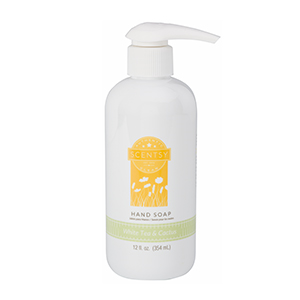 WHITE TEA & CACTUS SCENTSY HAND SOAP