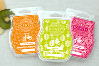 Jammy Time Scentsy Bar
