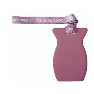 WELCOME HOME SCENTSY CAR BAR | Shop Scentsy | Incandescent.Scentsy.us