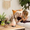 Enchant Scentsy Diffuser | Incandescent.Scentsy.us