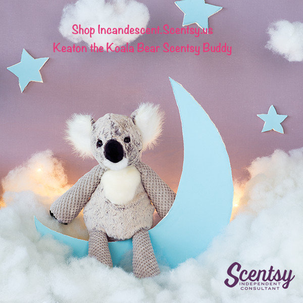 keaton the koala scentsy buddy