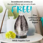 AUGUST DIFFUSER SALE