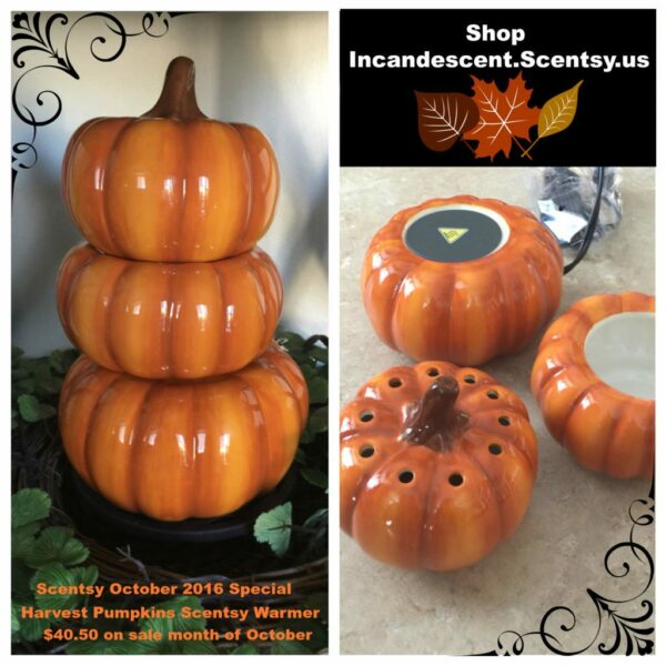 HARVEST PUMPKINS SCENTSY WARMER