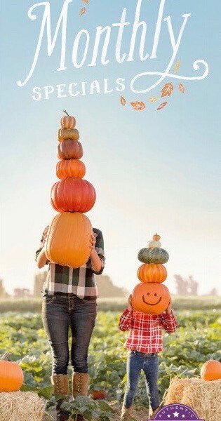 HARVEST PUMPKINS SCENTSY WARMER
