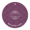 BLACK RASPBERRY VANILLA SCENTSY SCENT CIRCLE | Shop Scentsy | Incandescent.Scentsy.us