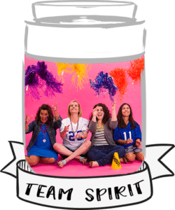 make-a-scene-giveaway-team-spirit