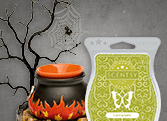 CASTING SPELLS SCENTSY SCENT CIRCLE