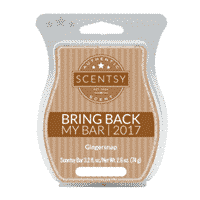 Ginger Snap Scentsy Bar Bbmb 2017 GINGERSNAP SCENTSY BAR