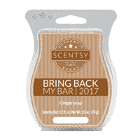 GINGERSNAP SCENTSY BAR