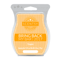 TINGELO SCENTSY BAR