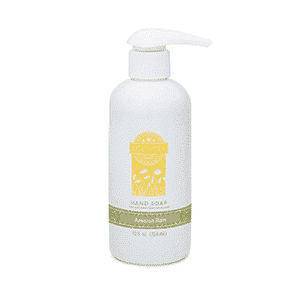 AMAZON RAIN SCENTSY HAND SOAP