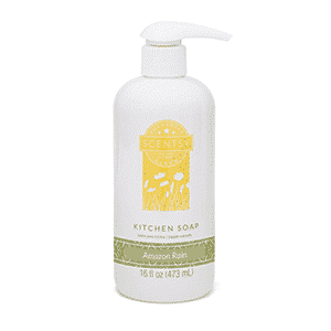 AMAZON RAIN SCENTSY KITCHEN DISH SOAP