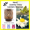 DAISY LANTERN SCENTSY WARMER | DISCONTINUED