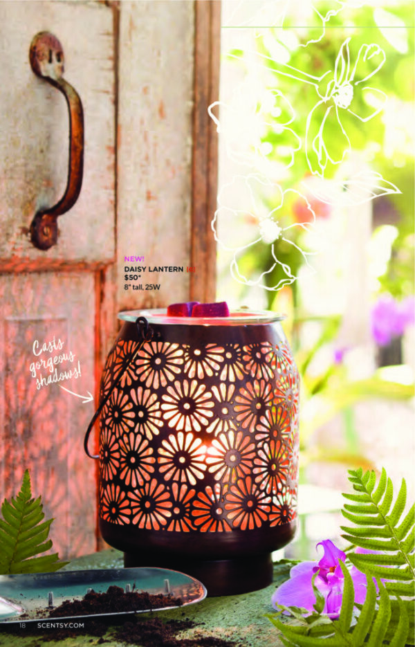 DAISY LANTERN SCENTSY WARMER | DISCONTINUED