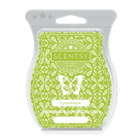 CUSTARD APPLE SCENTSY BAR