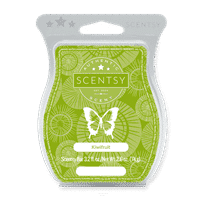 KIWI FRUIT SCENTSY BAR