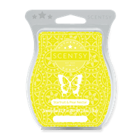 STARFRUIT AND PEAR NECTAR SCENTSY BAR