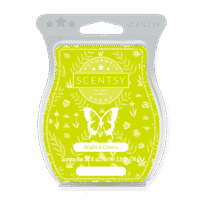 BRIGHT AND CHEERY SCENTSY BAR