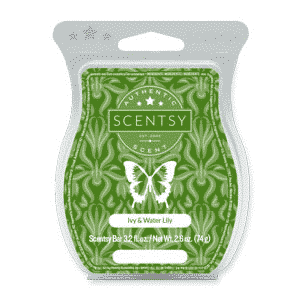 IVY & WATER LILY SCENTSY BAR