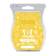 PINEAPPLE SORBET SCENTSY BAR