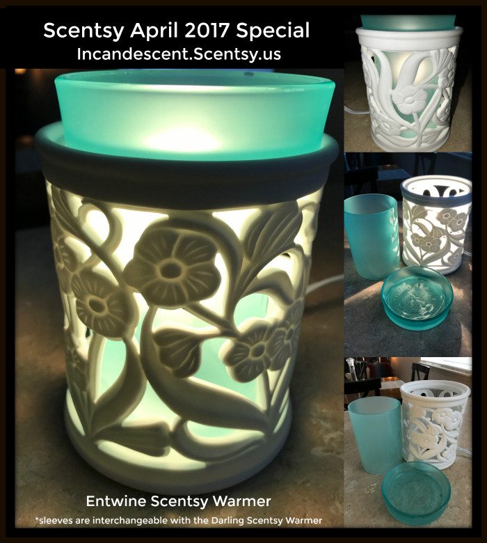 Entwine Scentsy Warmer with teal insert