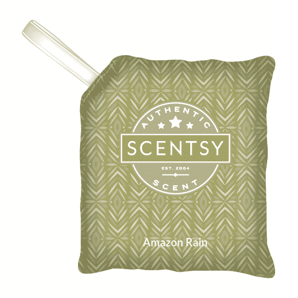 Rain Scentsy Wax Bar