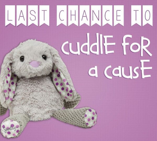 ROOSEVELT THE RABBIT SCENTSY BUDDY ~ LAST CHANCE