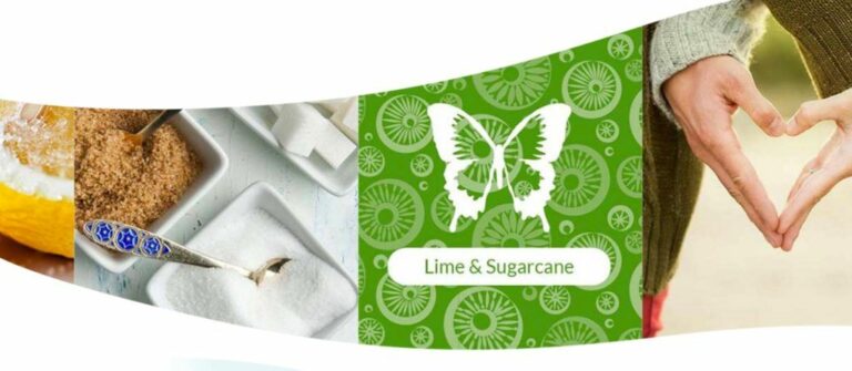 SCENTSY SPRING SUMMER 2017 ScenTrend ~ SUGARCANE