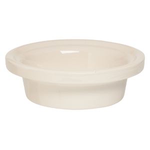 COLORGRAPHY SCENTSY WARMER DISH ONLY