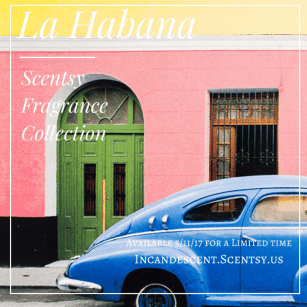 La Habana Scentsy Fragrance Collection